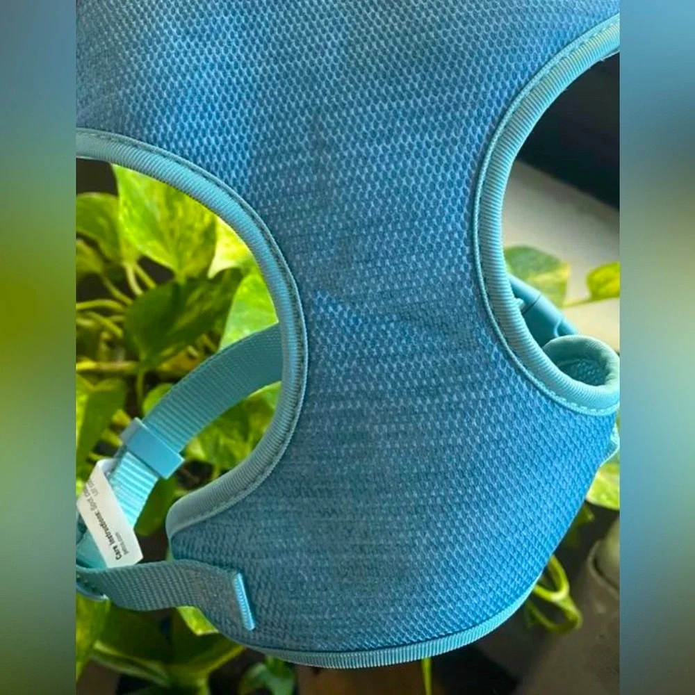 EVERY YAY Comfy Padded Mesh No-Pull Turquoise Teal Blue Dog Harness 🐶MEDIUM🐶 NWT